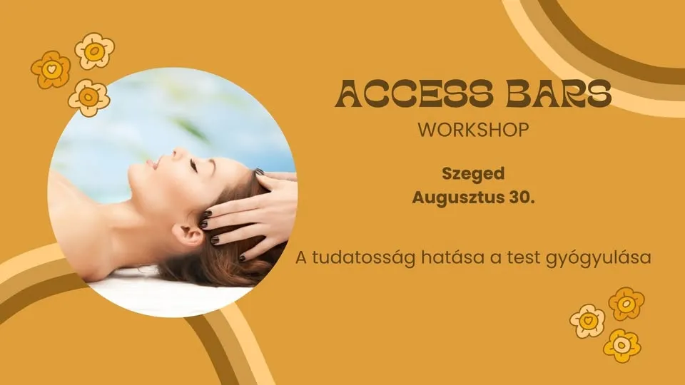 Radionica za pristup barovima u Segedu